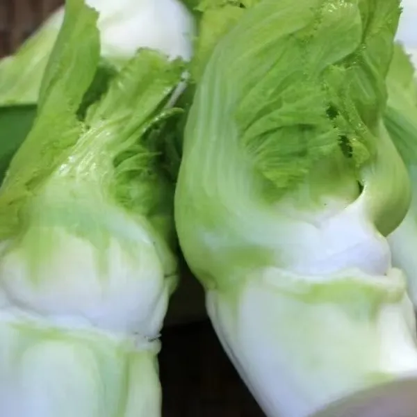 四川新鲜现摘儿菜当季蔬菜可做泡菜抱儿菜抱芥子