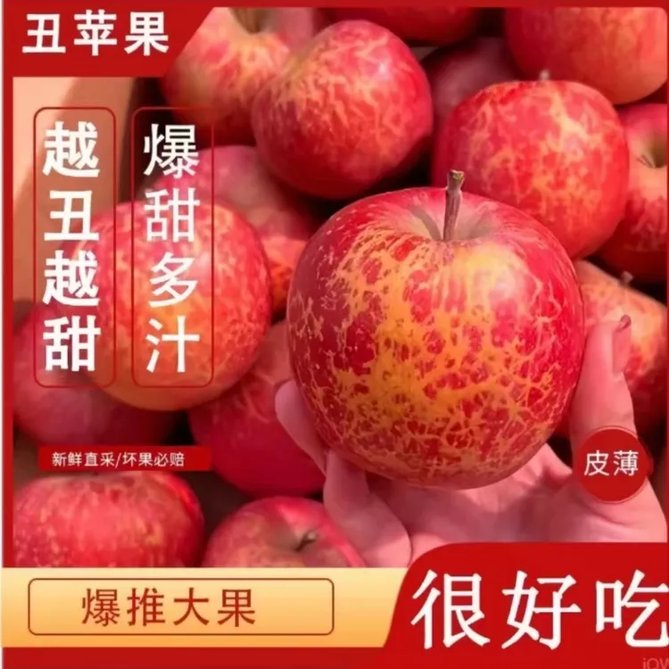 云南昭通冰糖心丑苹果  鲜脆多汁 现摘现发