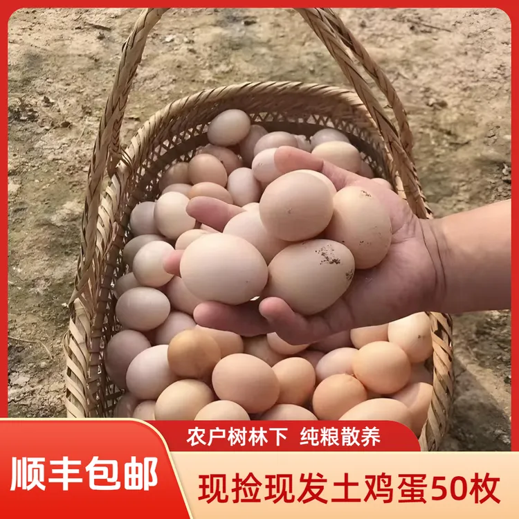 新鲜散养土鸡蛋新鲜土鸡蛋50枚农户散养现捡现发农家散养正宗