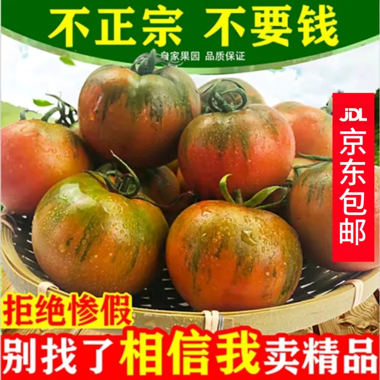 【京东快递】家庭装 盐碱地铁皮西红柿 自然熟草莓番茄小孩孕妇水果商品图