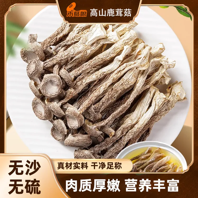 禾菇娘鹿茸菇新货500g头茬活动高山鹿茸菌无硫熏干货凉拌炒肉煲汤商品图