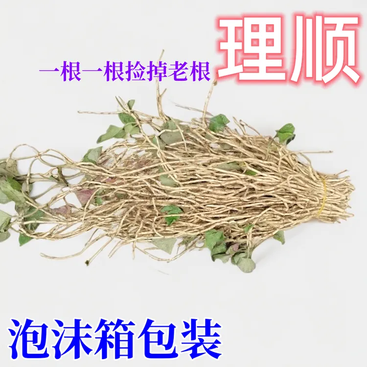 贵州现挖新鲜鱼腥草折耳根特产凉拌菜清热现挖折耳根鱼腥草新鲜