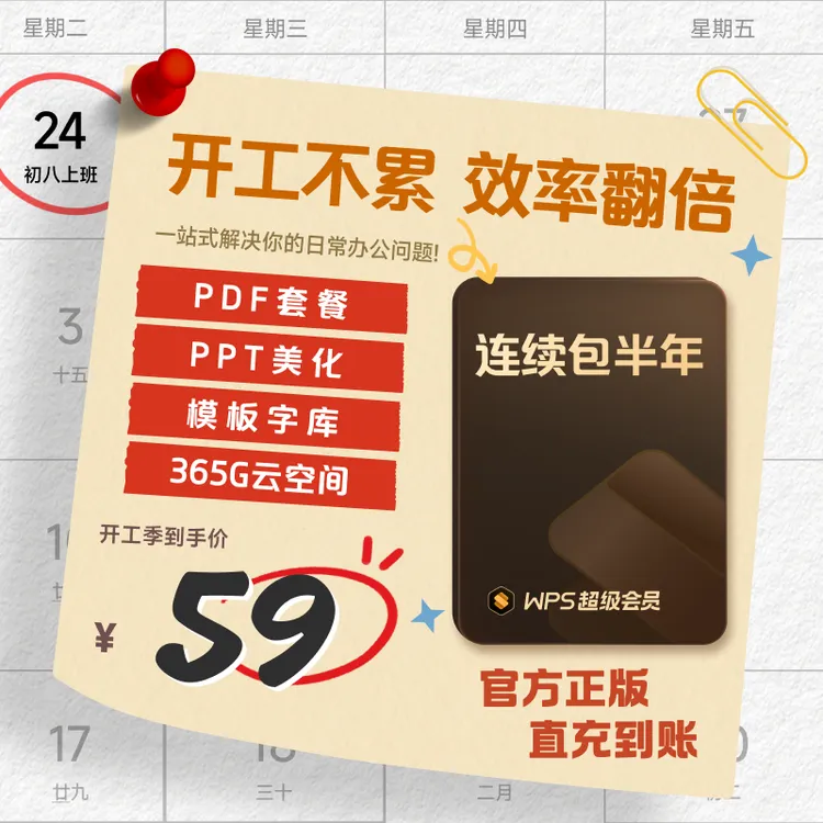 【连续包半年】WPS超级会员包半年自动续费 每期186天商品图