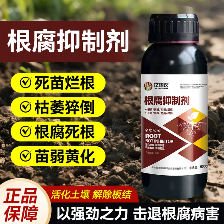 【工厂直发】根腐烂根软腐农作物专用根腐抑制剂死棵僵苗立枯生新根