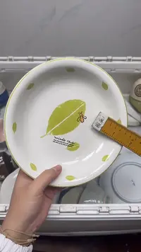 【闪购商品】626回流瓷器默认微瑕，18.8包邮