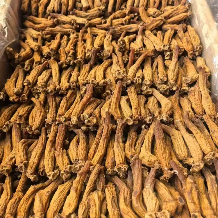 正宗高丽参精选原枝6年无糖整枝黄马褂