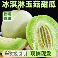 山东玉菇甜瓜冰淇淋口感新鲜香瓜孕妇水果脆甜软糯香甜带箱5斤TT