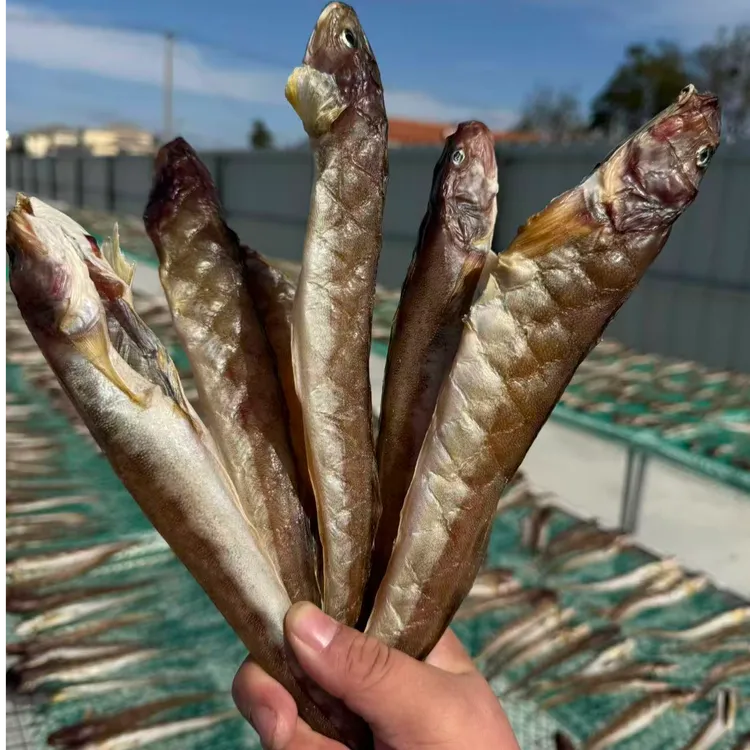 一卤鲜海鲶鱼干 自然风干晾晒淡盐不咸