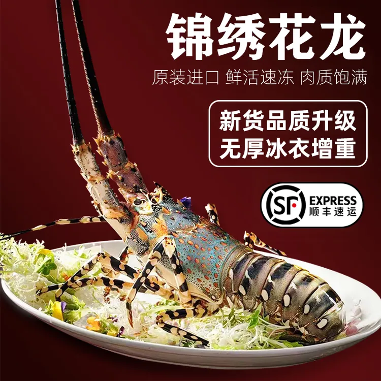 鲜活冷冻澳洲花龙大虾年货送礼海鲜澳洲大龙虾新鲜
