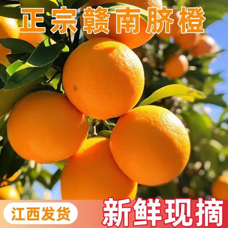 江西赣南脐橙新鲜橙子当季水果9斤手剥果冻橙冰糖橙甜橙大果包邮