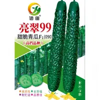 青瓜种子迅田090*亮翠99甜脆青瓜刺青黄瓜种子