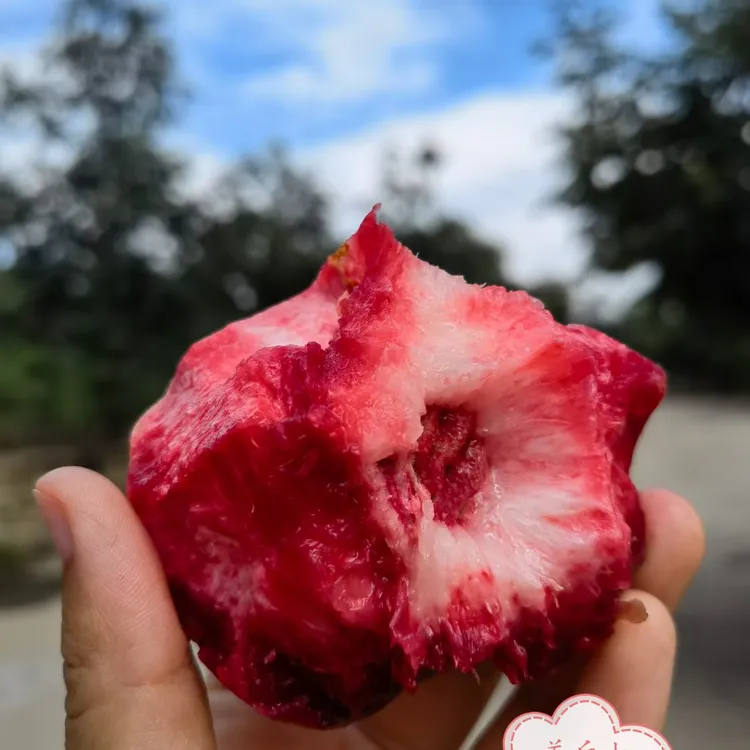 【顺丰包邮】老树朱砂血桃新鲜采摘红心果肉酸甜当季水果