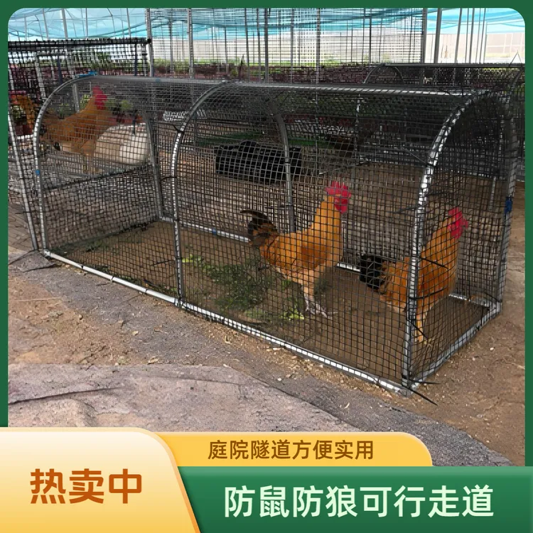 隧道式养鸡养鸭养鹅跑道适合庭院菜地养鸡防鼠防狼