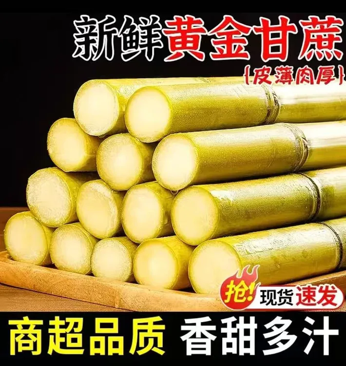 云南青皮黄金甘蔗新鲜应季水果多汁爆甜脆甜可口现砍现发新鲜直达