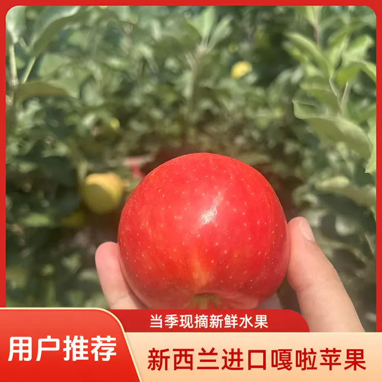 米奇拉嘎啦苹果新西兰进口品种当季现摘新鲜水果5斤彩箱