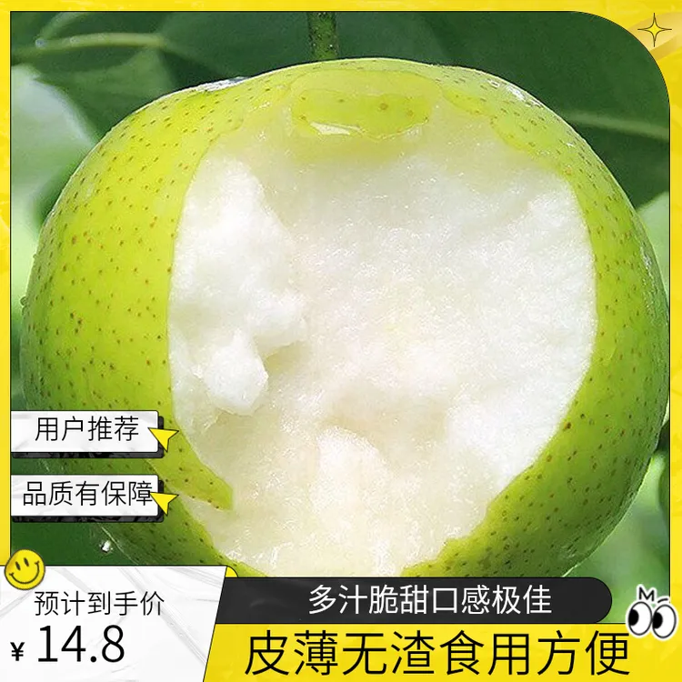 砀山青皮梨蜜梨多汁脆甜无渣皮薄的美味皇冠梨正宗翠冠梨