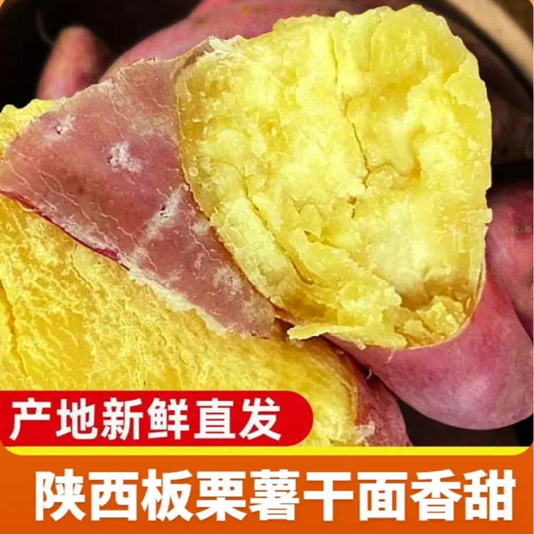 正宗陕西西安板栗薯新鲜现挖粉糯香甜地瓜番薯