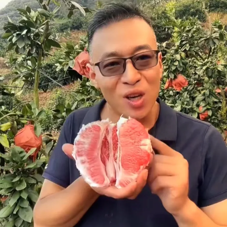【帅果自营-三红蜜柚】正宗福建琯溪蜜柚红心柚平和蜜柚囤货福利