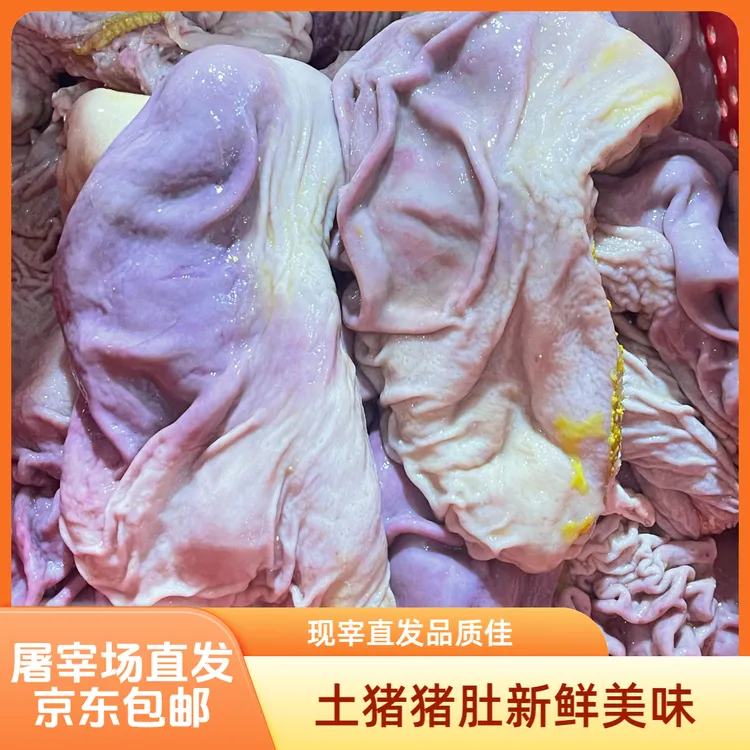 （新鲜精修去油猪肚）现宰现发洗干净 猪肚鸡煲汤鲜美