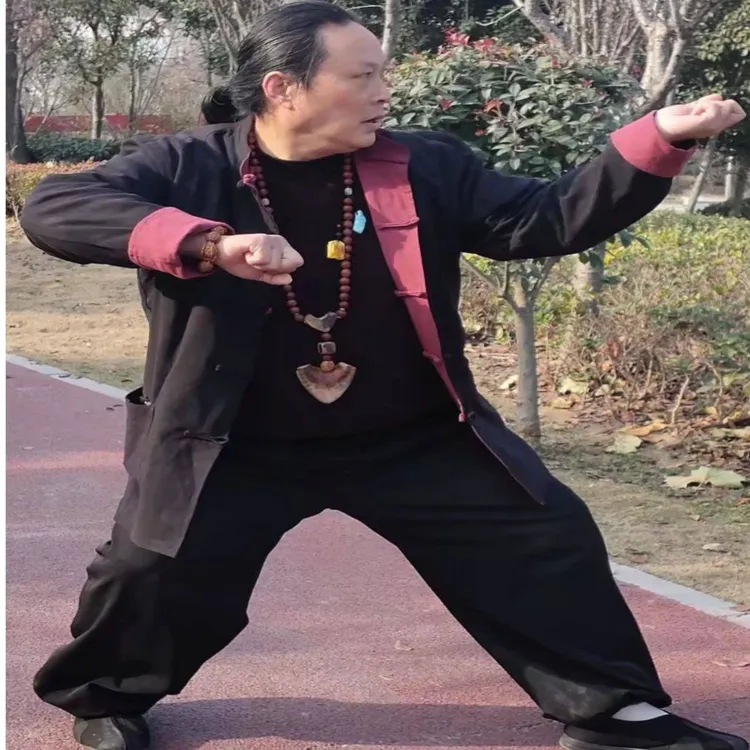 大成拳灵魂桩 矛盾桩之要点12