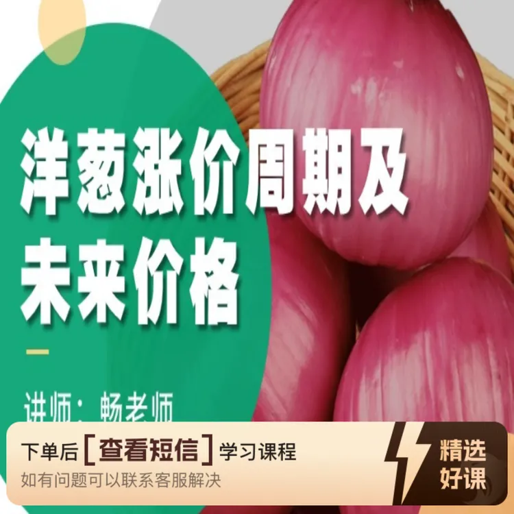 洋葱涨价周期及未来价格（留意短信解锁课程）