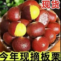 【2025新板栗】新鲜现摘高山板栗甘甜清脆鲜香生栗子难剥皮送栗爪