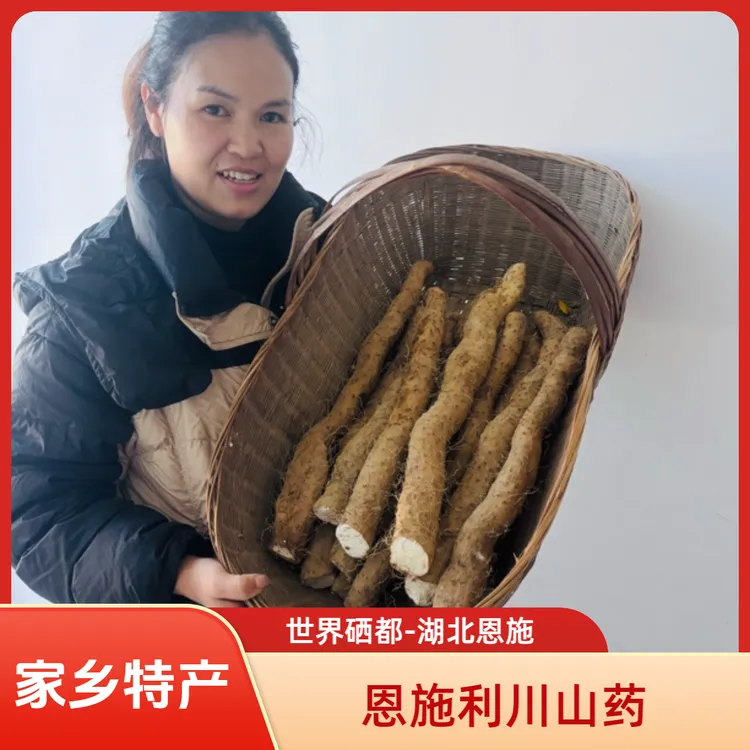 山药 正宗恩施利川高山山药 10斤一箱