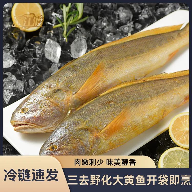 渔江渡深海野生大黄鱼黄花鱼三去调味免处理鲜活海鲜水产整条