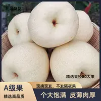 正宗陕西礼泉酥梨当季现摘皮薄脆甜多汁水果净重10斤