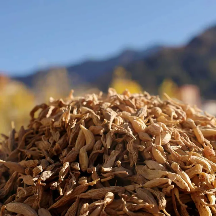 西藏发货高海拔麦冬250g大小不一颜色不均匀炖汤煮水甘甜清香