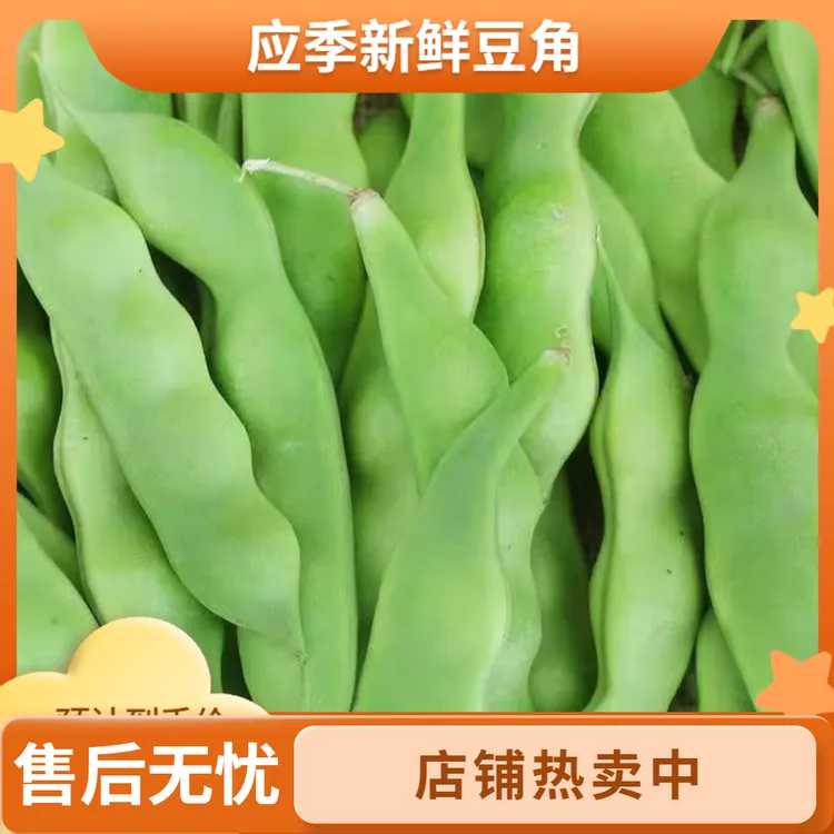 东北吉林梨树应季九月青油豆角面豆角