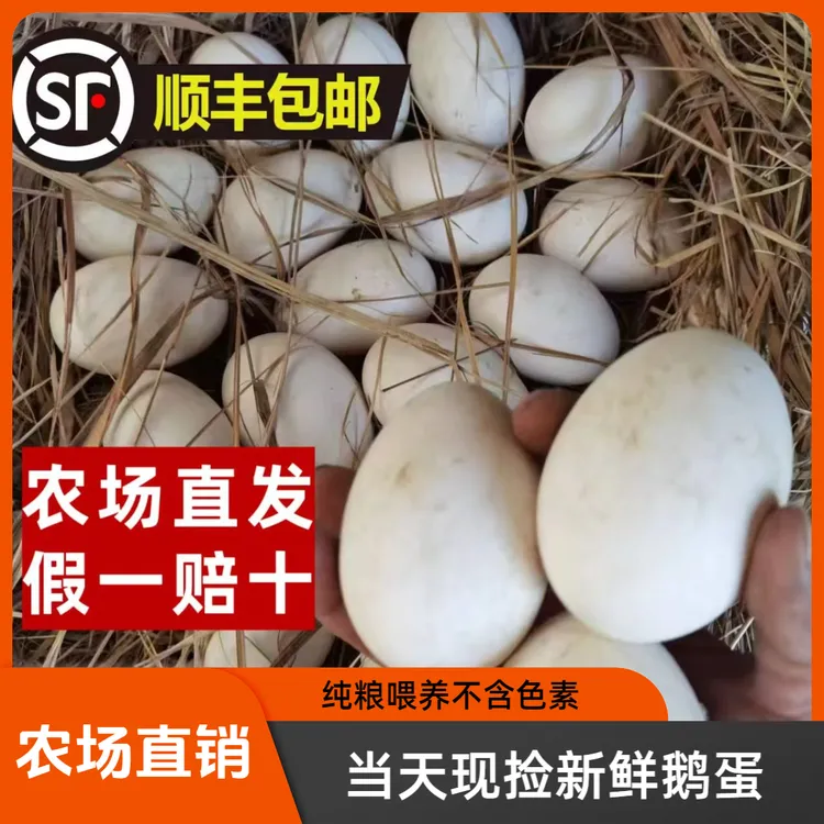 24枚装顺丰包邮新鲜新鲜大新鲜农家鹅蛋新鲜农家散养散养鹅蛋