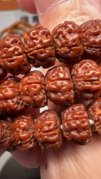 【闪购商品】金刚菩提手串精品文玩手串一条