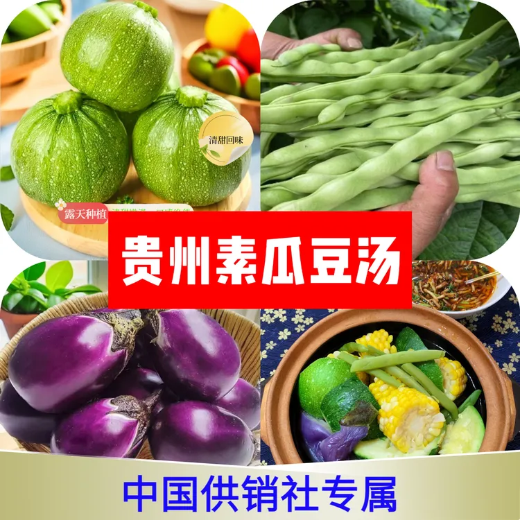 贵州省汤素瓜豆新鲜嫩南瓜四季豆棒豆圆紫茄子素瓜豆贵州蘸水菜