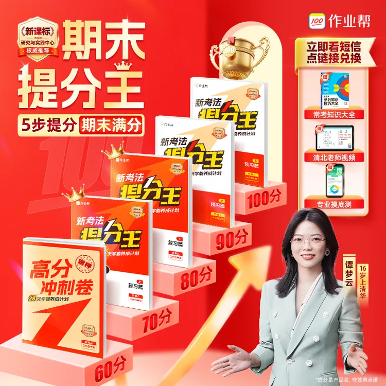 【查收信息兑换赠品】期末冲刺专用！2025升级版小学全科提分王DS*