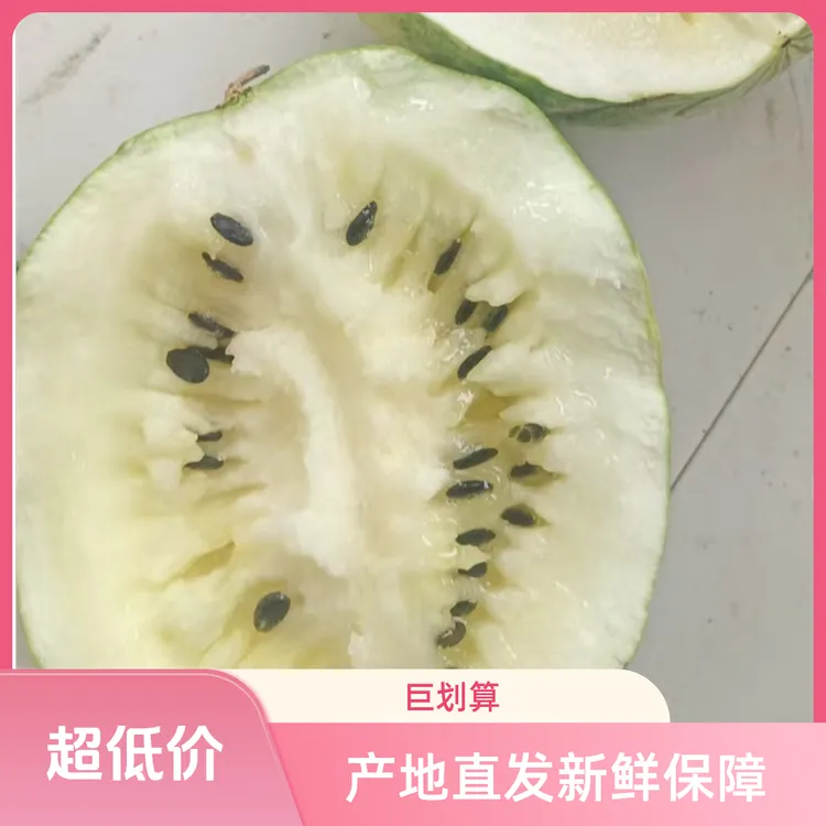 甘肃靖远石头打瓜新鲜籽瓜大变小白黄壤的好吃的很产地直发