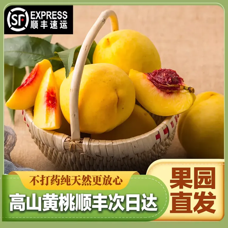 【5斤装】炎陵黄桃新鲜水果当季现摘桃子露天蜜桃脆甜黄肉毛桃大果
