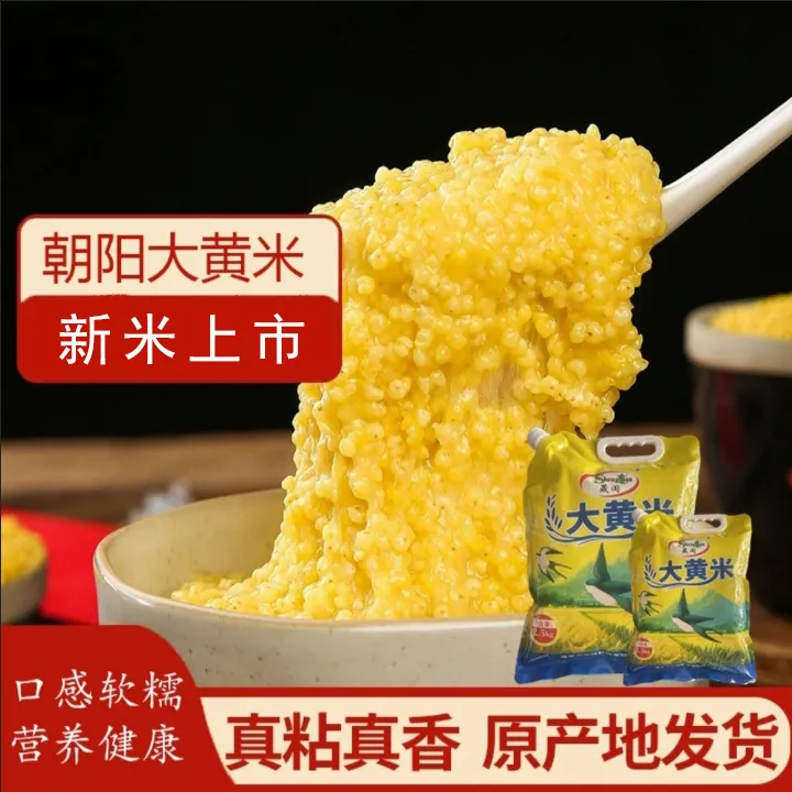 【抖音商城】晟阗 2025年新大黄米 5斤 颗粒饱满 粘糯可口