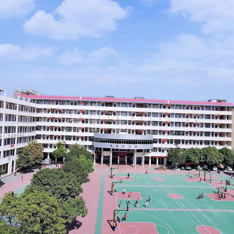高一新生980一学期