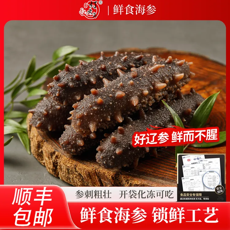 灯火岛鲜食海参500g/盒 8-12头辽刺参 大连辽参 8A品质 开袋即食商品图