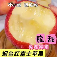 【现摘现发】山东烟台栖霞正宗红富士苹果新鲜当季脆甜多汁产地直发