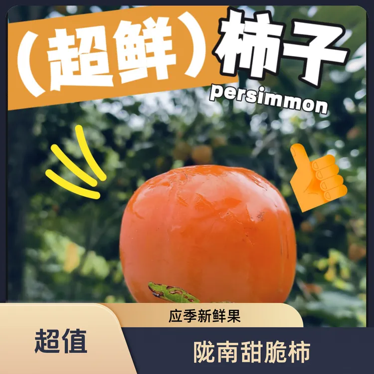 甘肃省陇南市武都甜脆柿新鲜应季水果脆甜多汁巧克力柿子软柿子