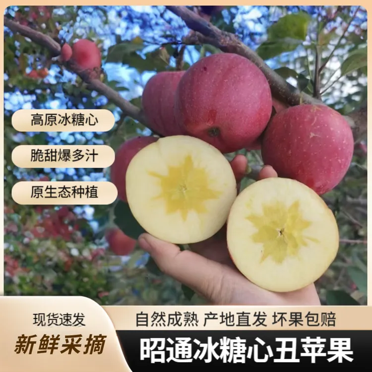云南昭通冰糖心丑苹果新鲜脆甜高山自然成熟冰糖心酥脆爆汁冰糖心
