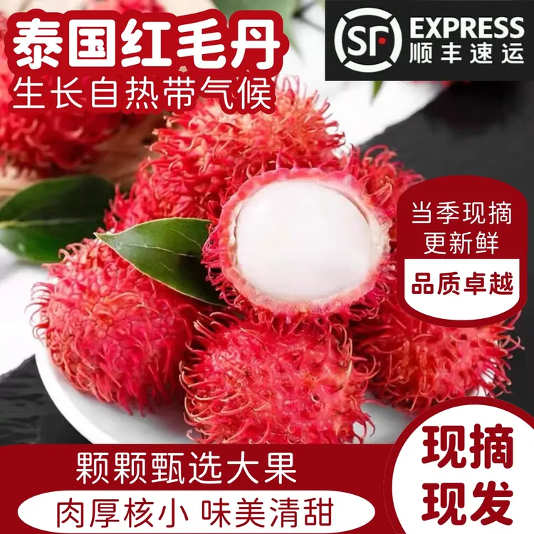 【顺丰冷链】泰国老树红毛丹甄选精品当季热带水果新鲜采摘坏果包赔