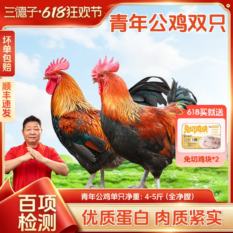 三德子【两只青年公鸡】正宗土鸡山林散养大公鸡跑山鸡白切鸡椰子鸡商品图