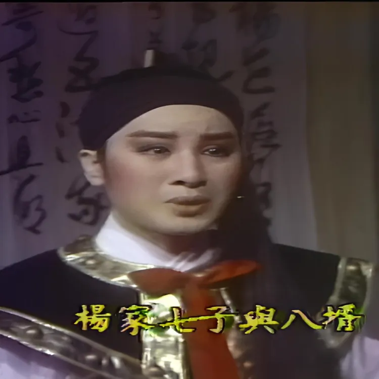 杨丽花歌仔戏  杨家将全集