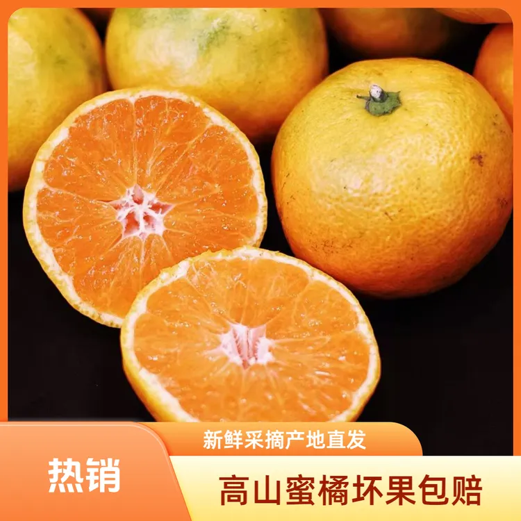 高楼金土地高山涌泉蜜橘薄皮细腻无籽无渣新鲜采摘应季水果