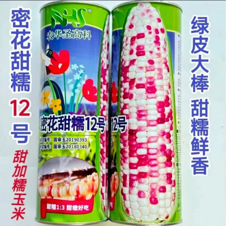 【小蔡优选】国审蜜花甜糯12号中花彩甜糯玉米种子田园基地均可种植