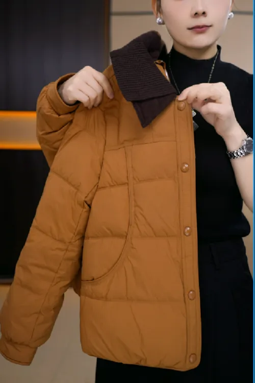 新款时尚气质高端减龄百搭翻领羽绒服