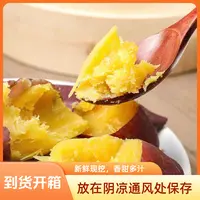 2025年现挖老地瓜沙土地黄壤地瓜8斤